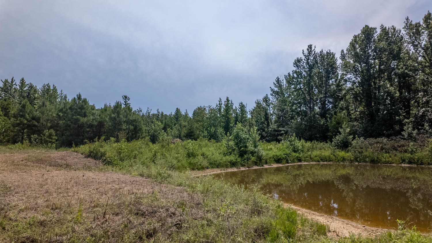 Photo 44 - Residential for sale – 1  Cannaday Flat Road   Hector, AR