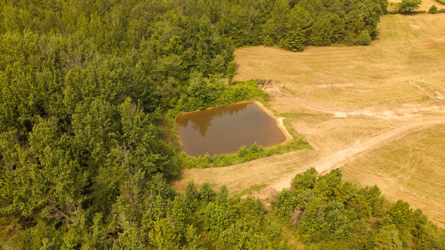 Photo 32 - Farm for sale – 1  Cannaday Flat Road   Hector, AR