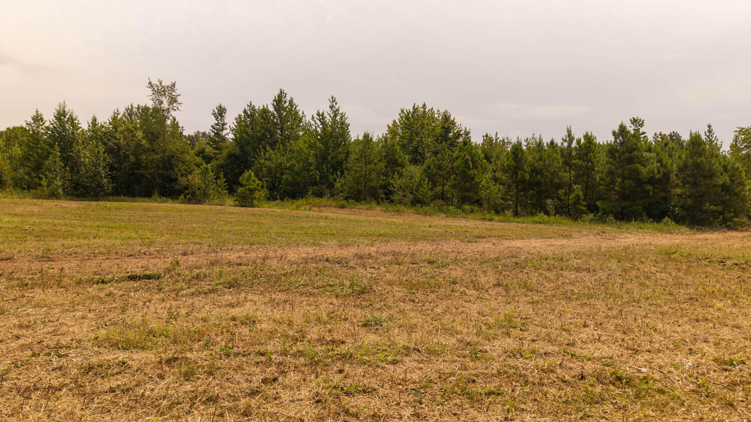 Photo 39 - Farm for sale – 1  Cannaday Flat Road   Hector, AR