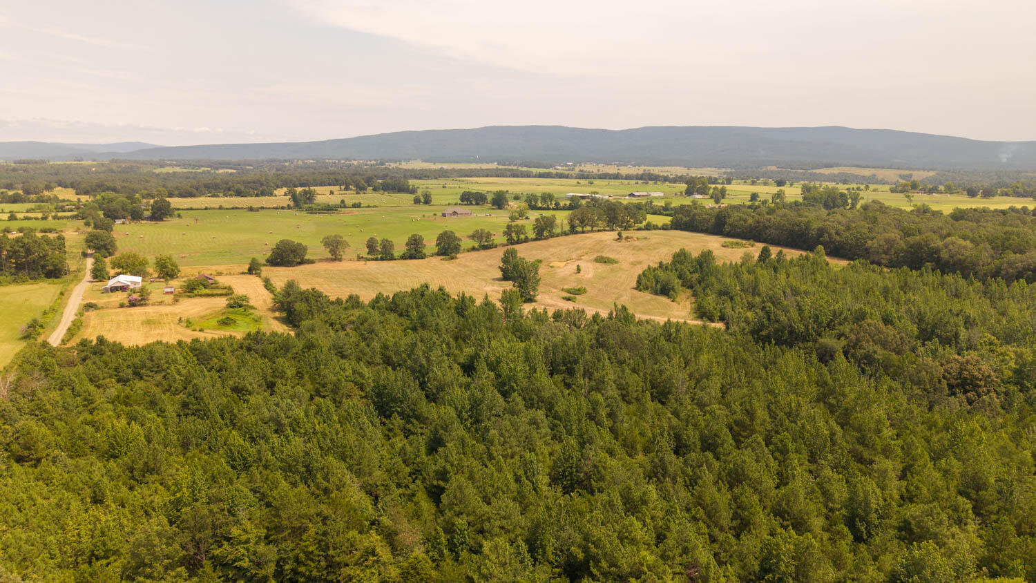 Photo 41 - Farm for sale – 1  Cannaday Flat Road   Hector, AR