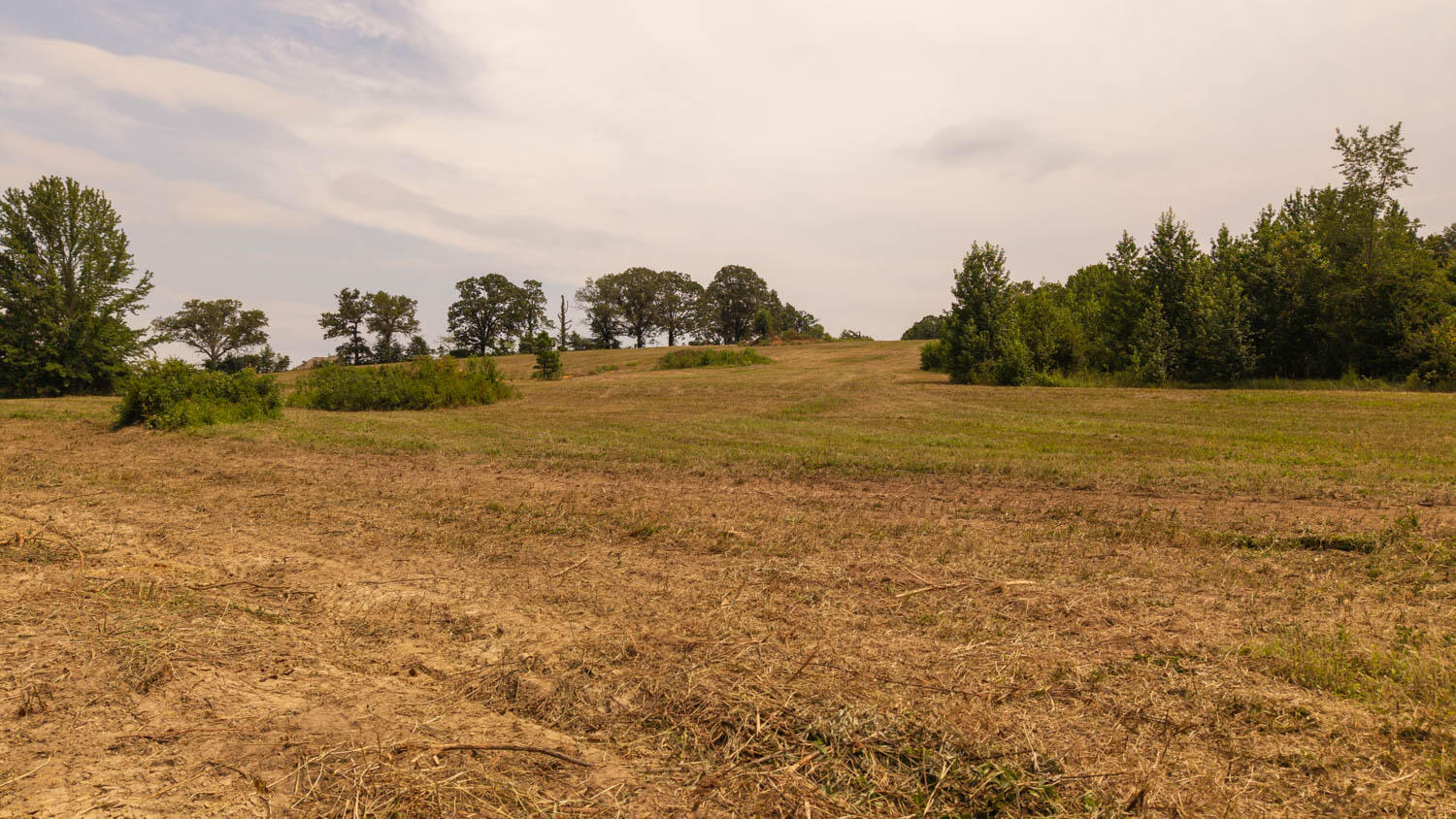 Photo 38 - Farm for sale – 1  Cannaday Flat Road   Hector, AR