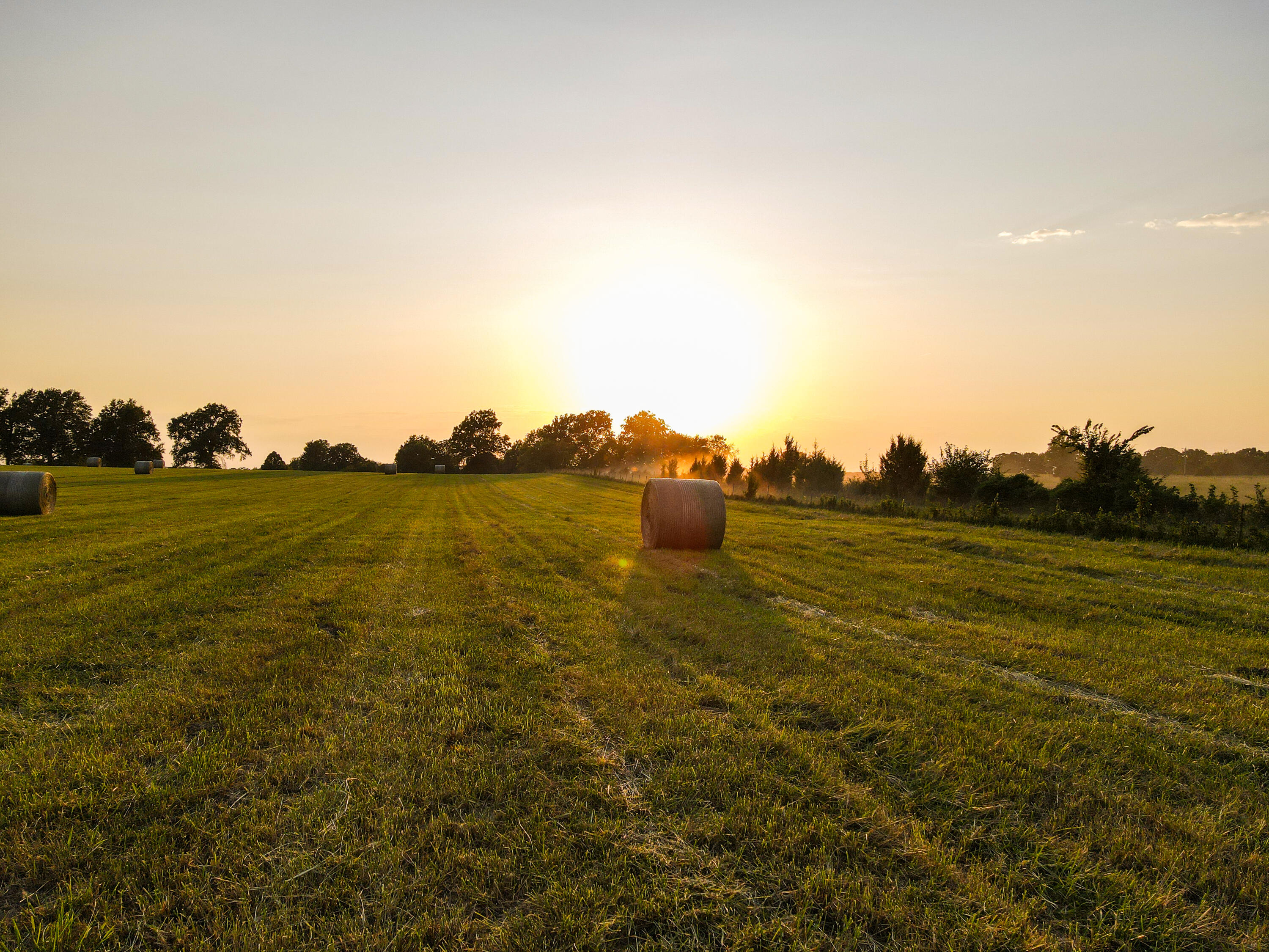 Photo 27 - Farm for sale – 15703 S 2850 Road  El Dorado Springs, MO