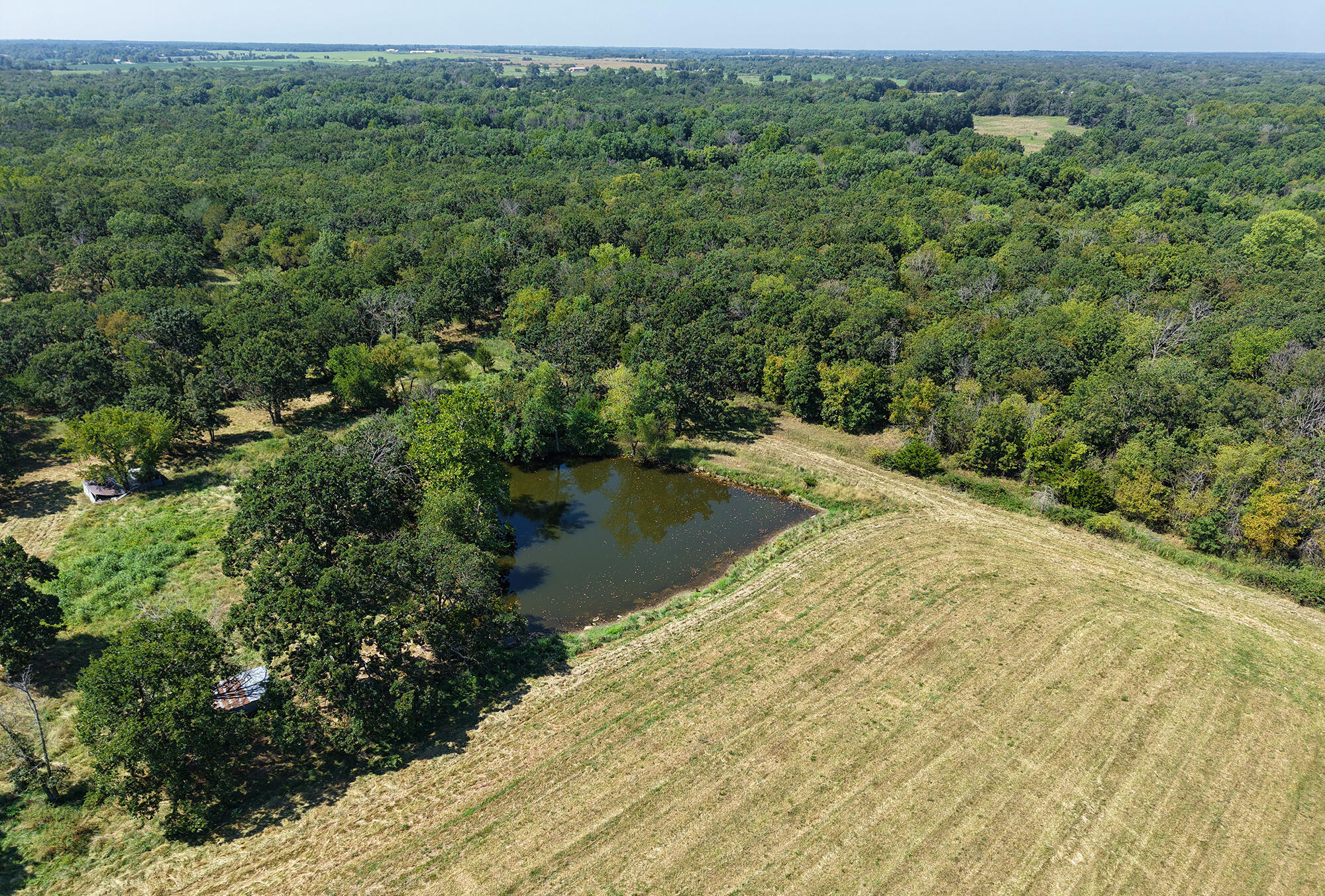 Photo 42 - Farm for sale – 15703 S 2850 Road  El Dorado Springs, MO