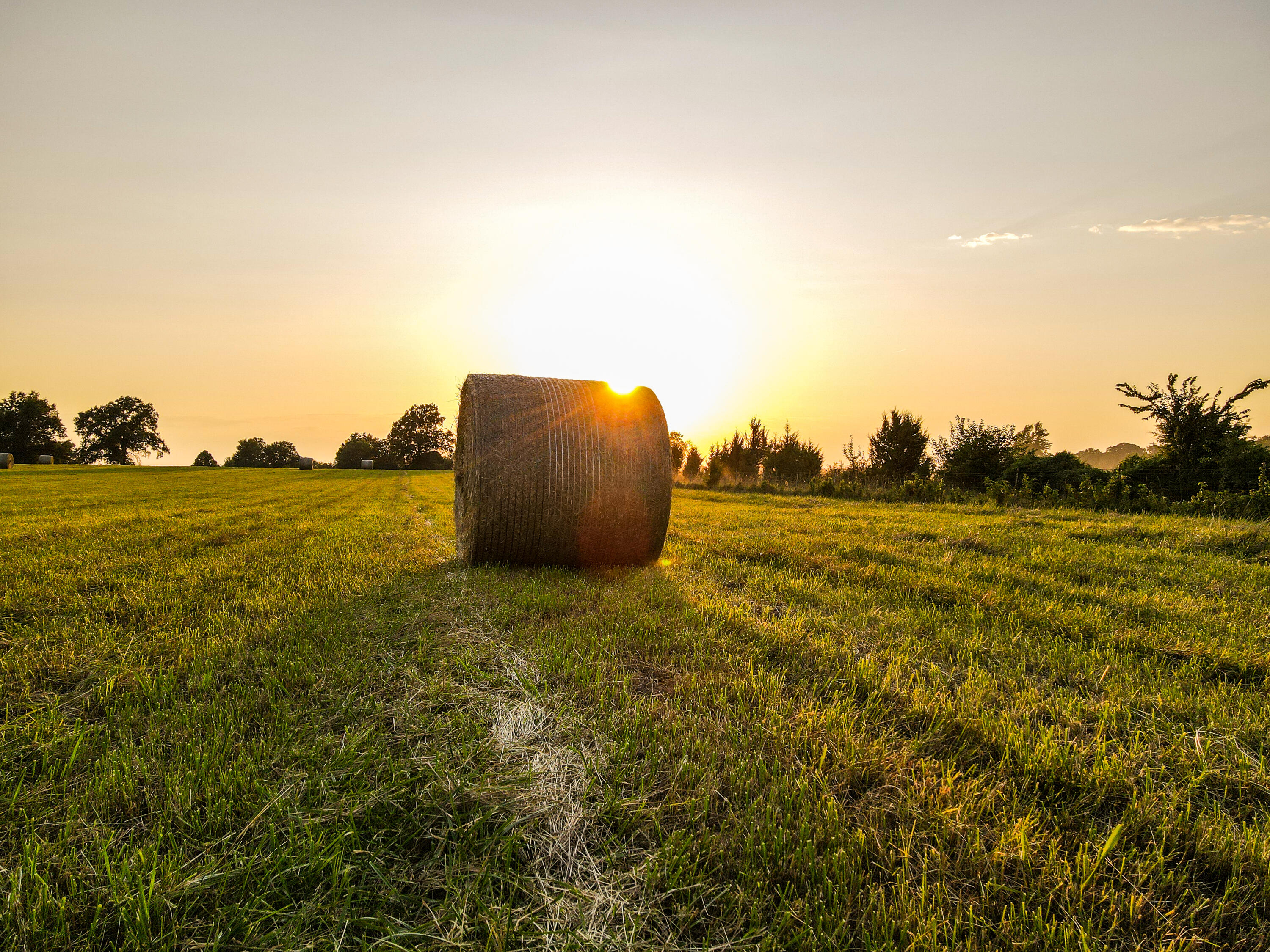 Photo 40 - Farm for sale – 15703 S 2850 Road  El Dorado Springs, MO