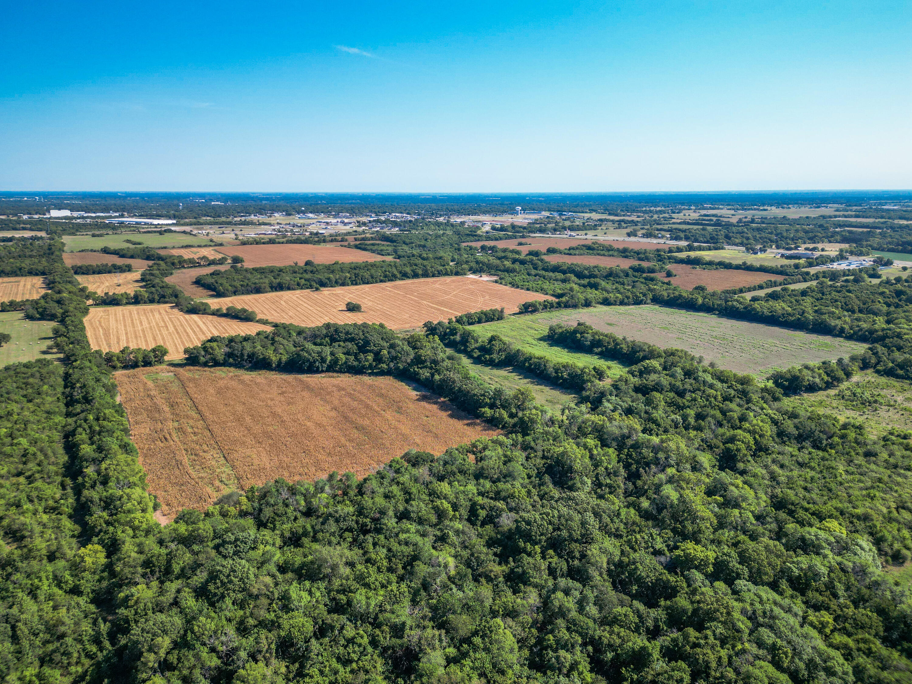 Photo 4 - Land for sale – Xxx  Dr. Russell Smith Drive  Carthage, MO