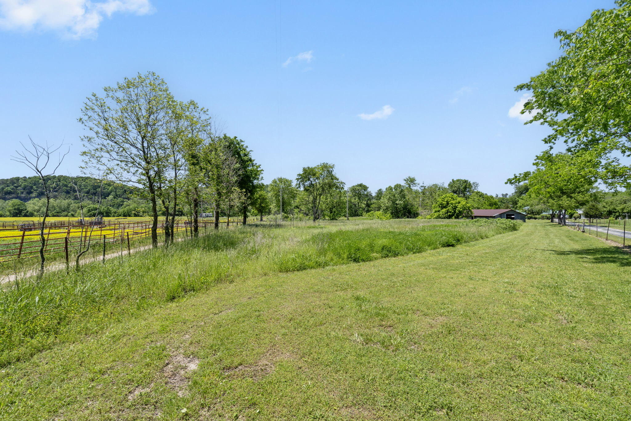 Photo 59 - Residential for sale – 267/271  Knox Lane 19+/- Acres Lane  Noel, MO