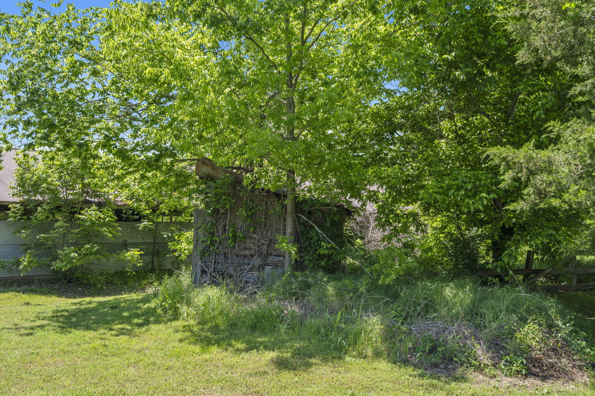 Photo 58 - Residential for sale – 267/271  Knox Lane 19+/- Acres Lane  Noel, MO