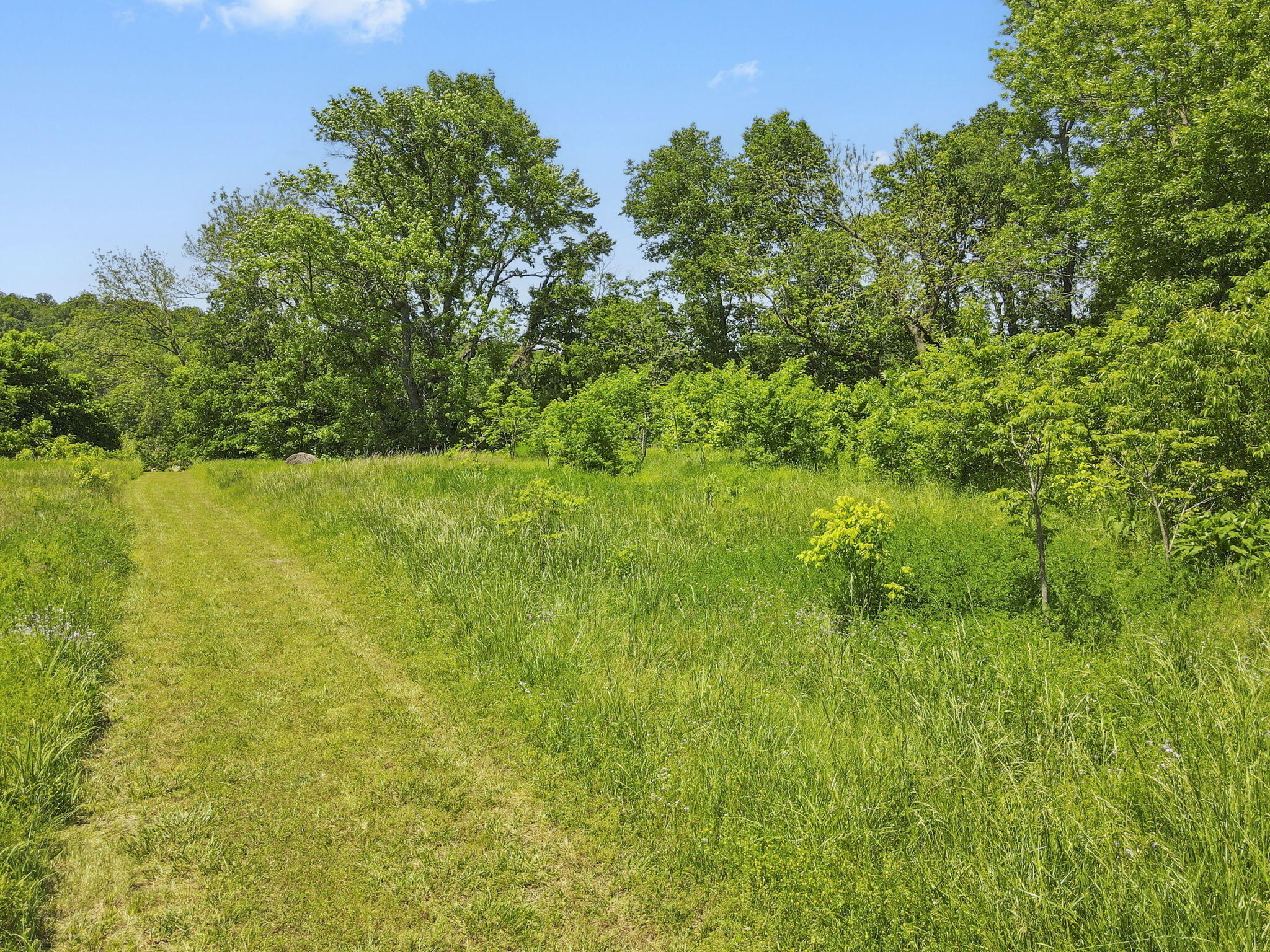 Photo 65 - Residential for sale – 267/271  Knox Lane 19+/- Acres Lane  Noel, MO