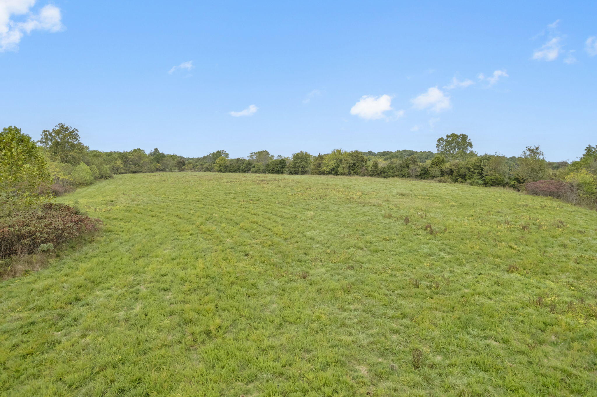 Photo 26 - Land for sale – 518  Union Ridge Drive  Clever, MO