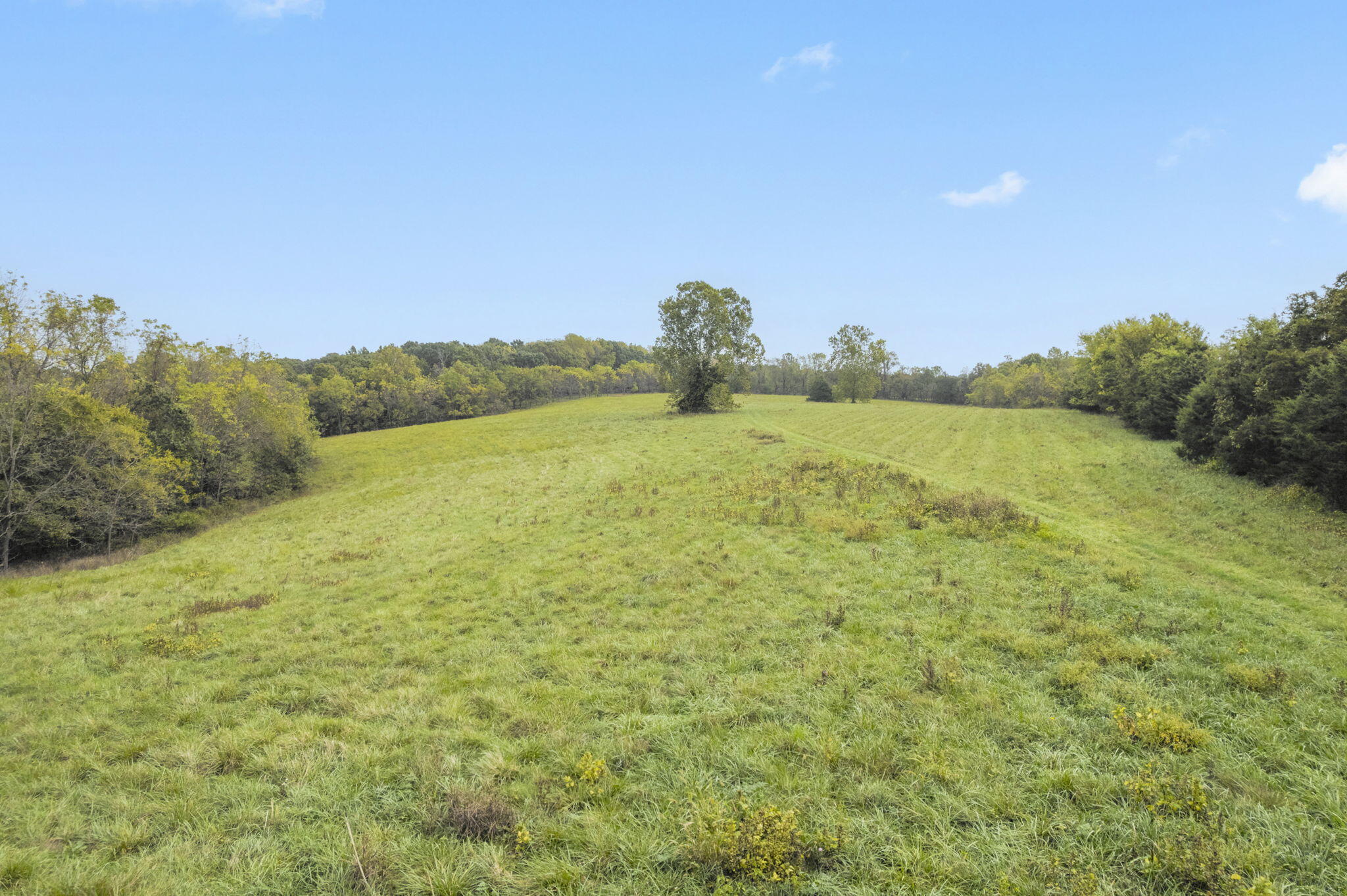 Photo 25 - Land for sale – 518  Union Ridge Drive  Clever, MO