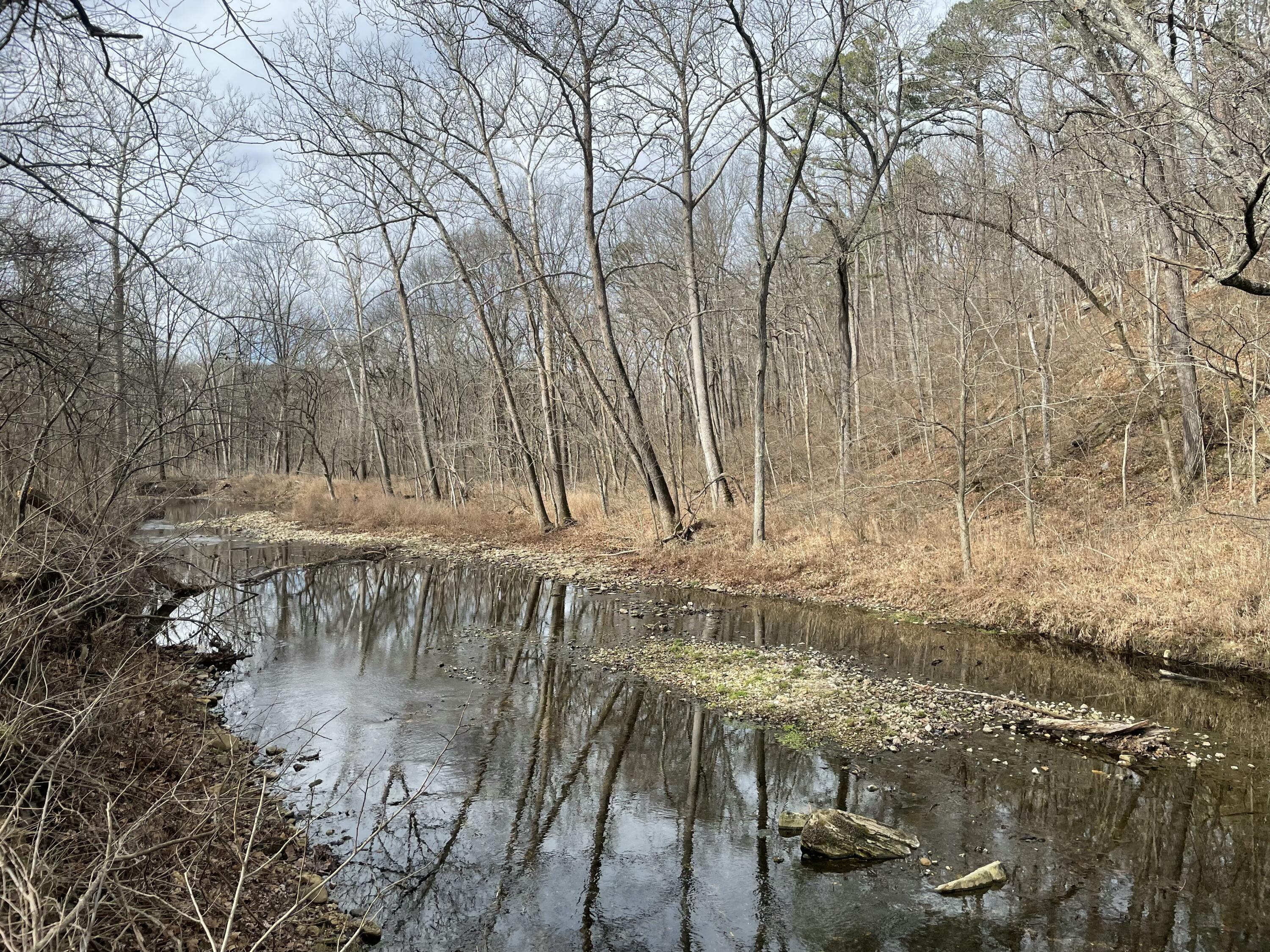 Listing 590313