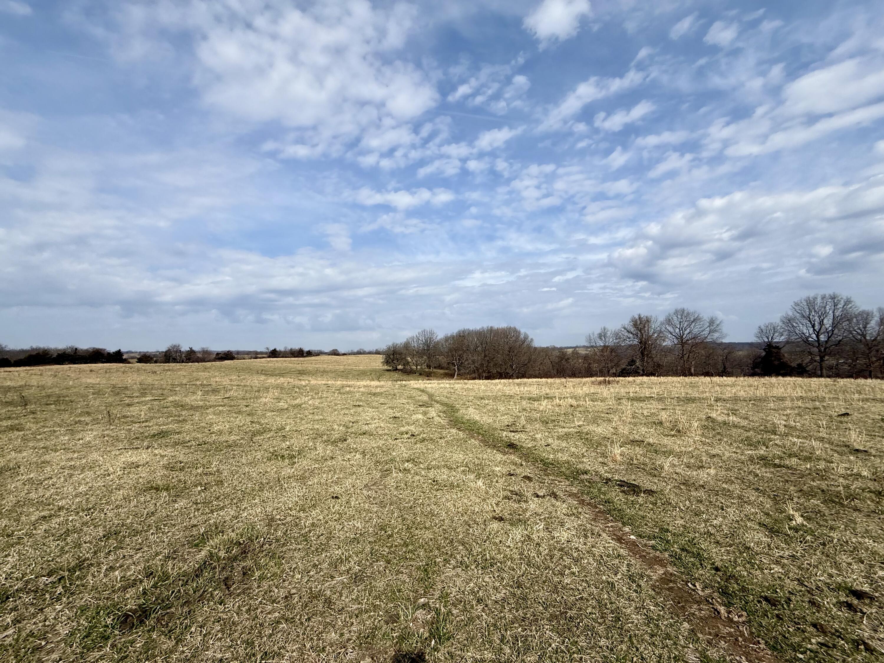 Farm/Ranch/Land for sale – 000 Barnum Drive Cabool, MO