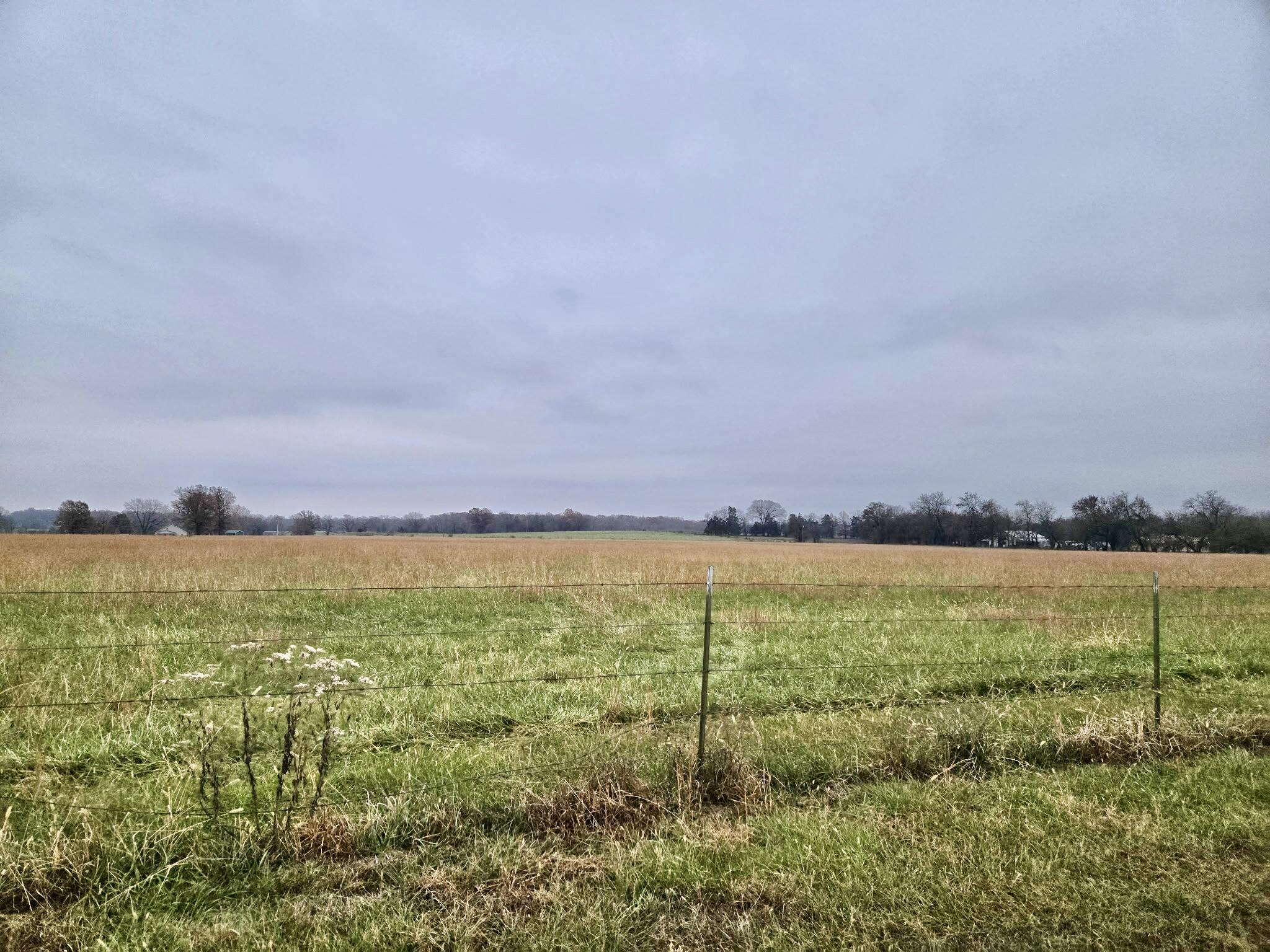 Listing 591571